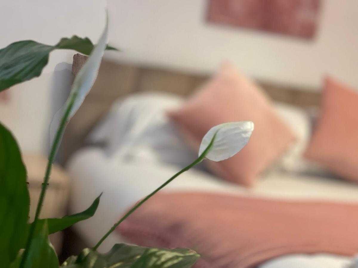 Penderi House Usk With Cymru Holidays Ngoại thất bức ảnh